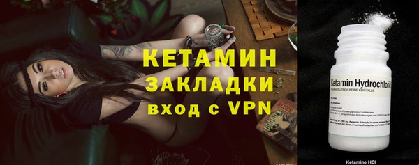 ГАЛЛЮЦИНОГЕННЫЕ ГРИБЫ Чекалин