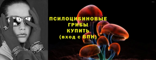 ECSTASY Чегем