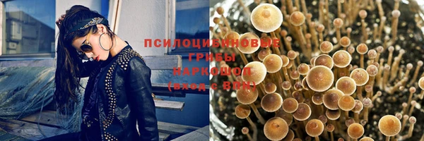прущая мука Иннополис