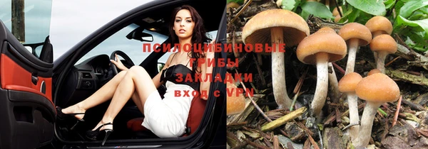 прущая мука Иннополис