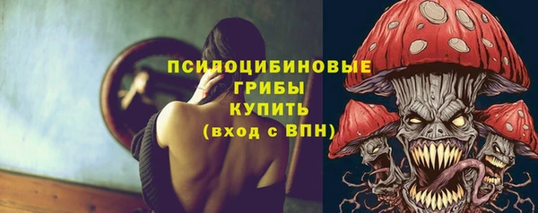 jwh Инсар