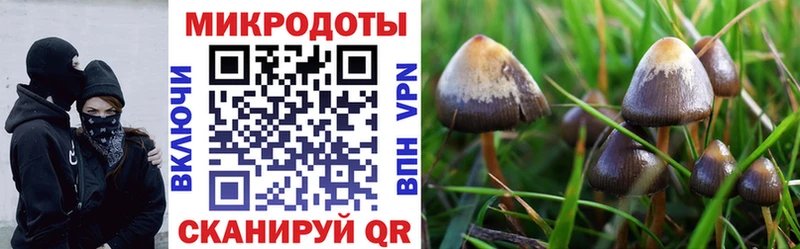 MEGA   Трёхгорный  Галлюциногенные грибы MAGIC MUSHROOMS 